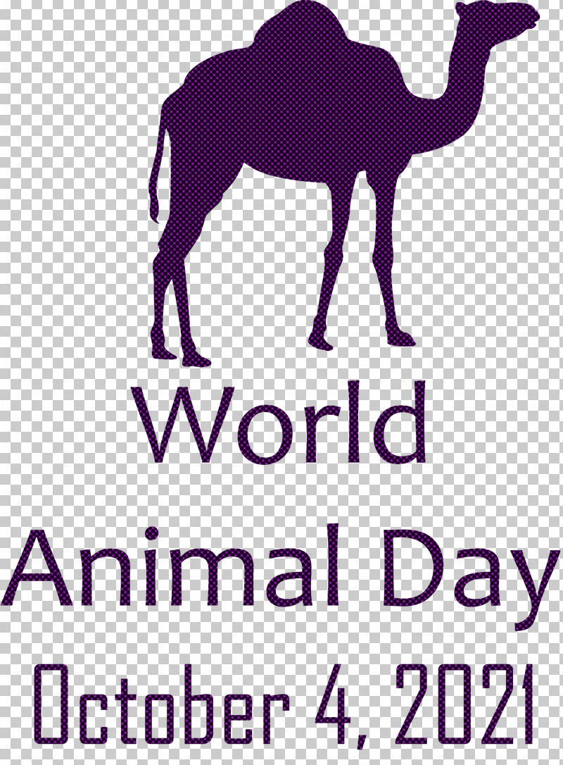 World Animal Day Animal Day PNG, Clipart, Animal Day, Biology, Camels, Dromedary, Horse Free PNG Download