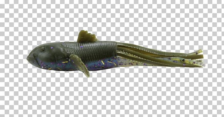 Goby Fishing Tackle Fishing Baits & Lures PNG, Clipart, Amphibian, Bass Fishing, Fish, Fishing, Fishing Bait Free PNG Download