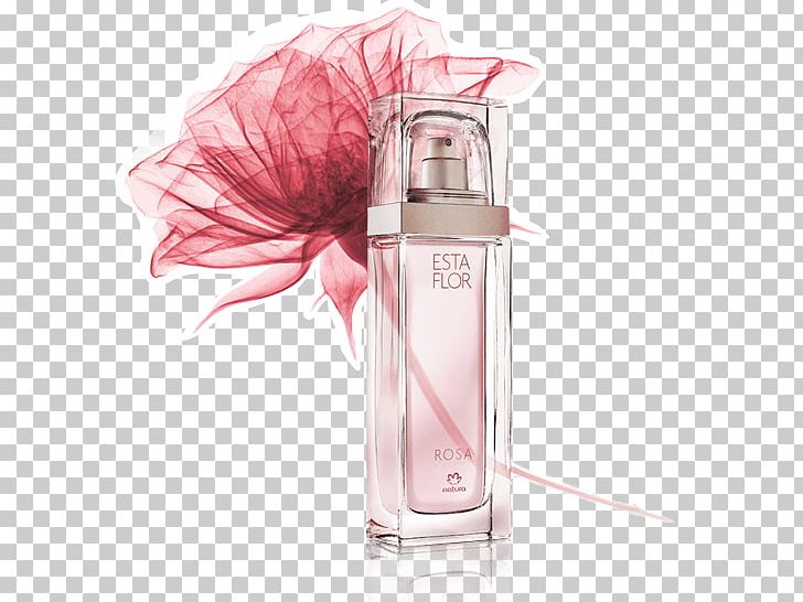Perfumer Rose Natura &Co Flower PNG, Clipart, Aroma, Cosmetics, Deodorant, Eau De Parfum, Flower Free PNG Download