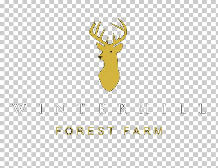 Reindeer Antler Logo Desktop PNG, Clipart, Antler, Brand, Cartoon, Computer, Computer Wallpaper Free PNG Download