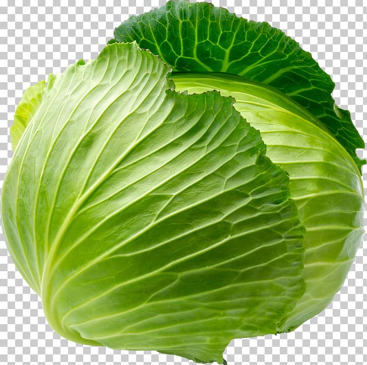 Savoy Cabbage Leaf Vegetable PNG, Clipart, Brassica Oleracea, Broccoli, Cabbage, Cauliflower, Chinese Cabbage Free PNG Download