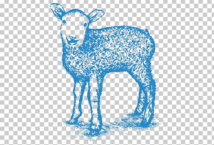 Sheep Graphics Drawing Illustration PNG, Clipart, Animal Figure, Art, Artwork, Cattle Like Mammal, Cow Goat Family Free PNG Download