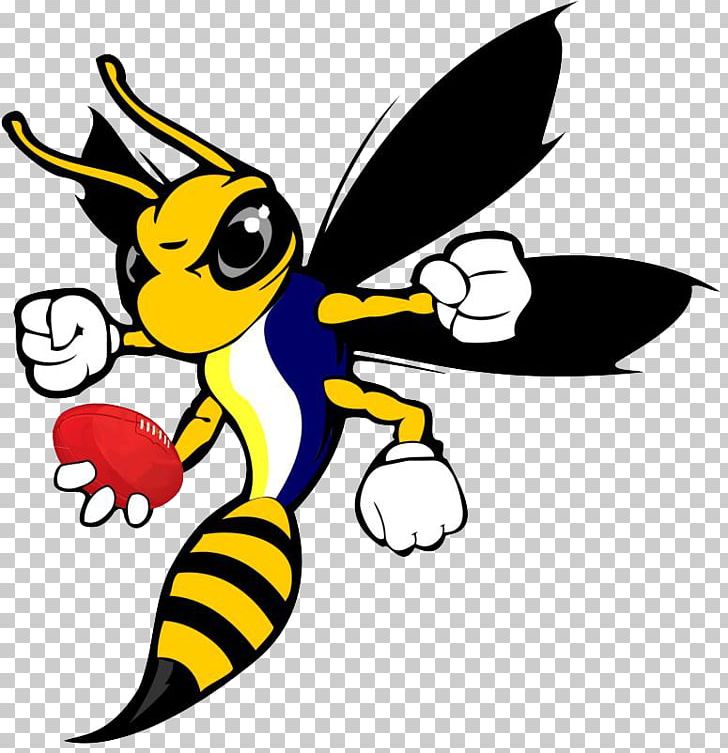 Hornet Bee Wasp PNG, Clipart, Apis Cerana, Art, Artwork, Beak, Bee Free PNG Download