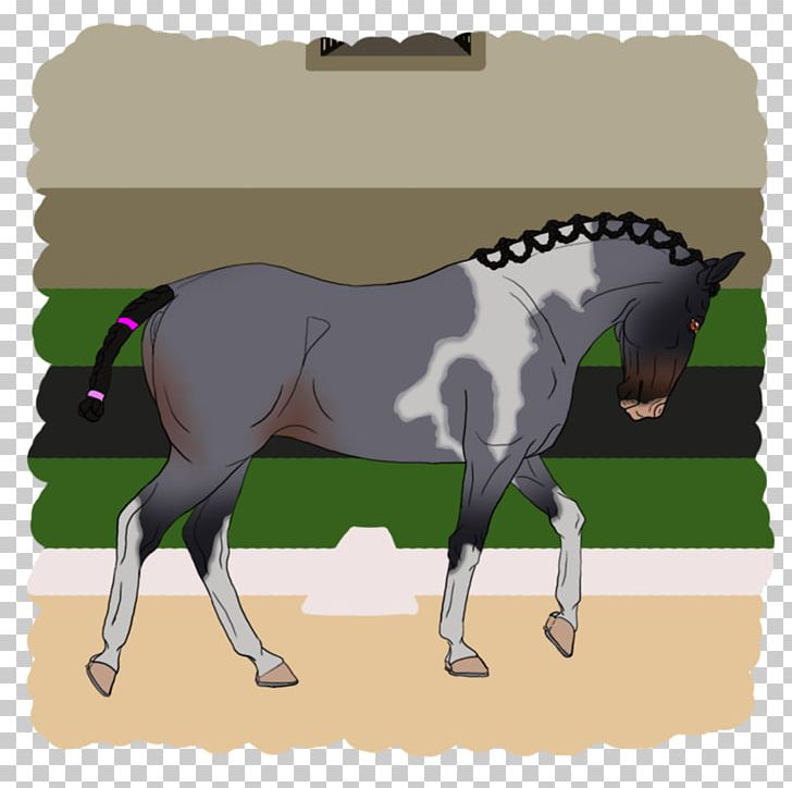 Mane Mustang Foal Stallion Pony PNG, Clipart, Bridle, Colt, English Riding, Equestrian, Foal Free PNG Download