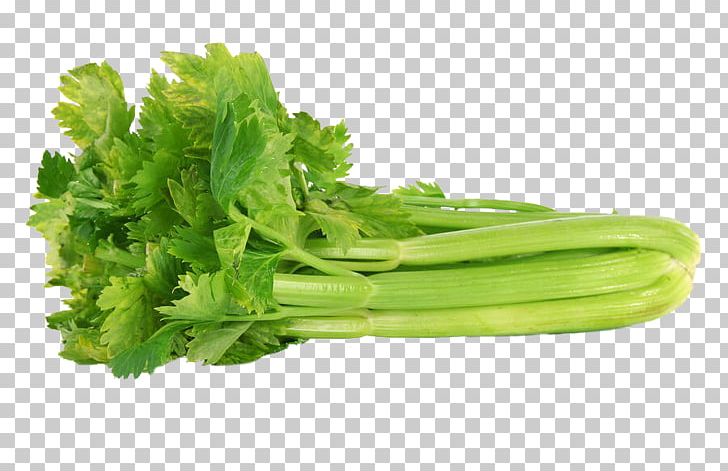 Organic Food Celery Leaf Vegetable Plant Stem PNG, Clipart, Broccoli, Celery, Edible Flower, Food, Food Drinks Free PNG Download