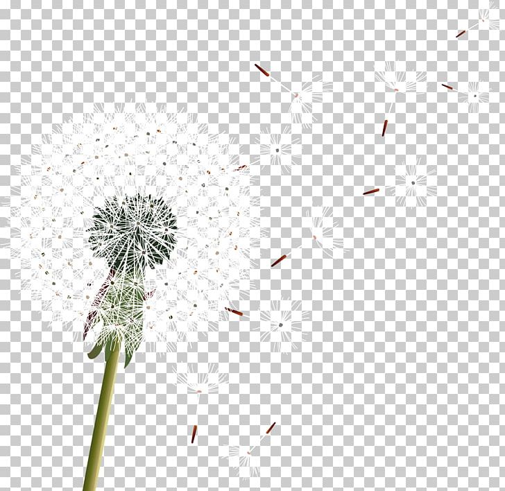 Desktop Wind Sketches: II. Interlude PNG, Clipart, Closeup, Computer Wallpaper, Dandelion, Flora, Flower Free PNG Download