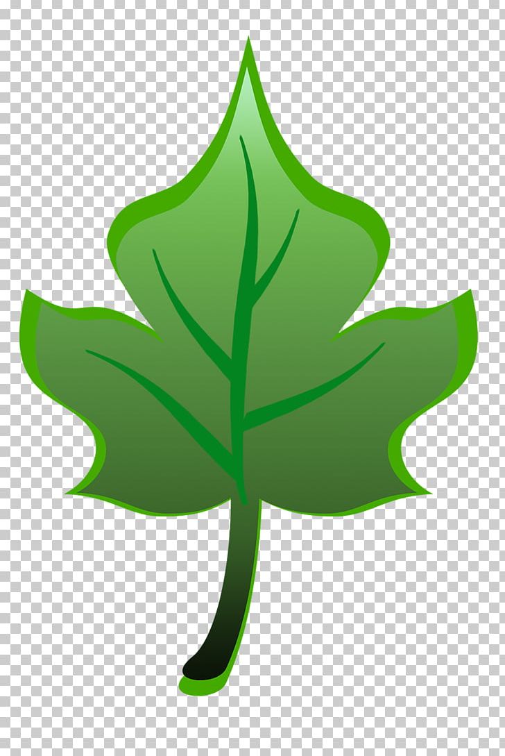 Leaf Plant Stem Tree PNG, Clipart, Green, Leaf, Plant, Plant Stem, Symbol Free PNG Download