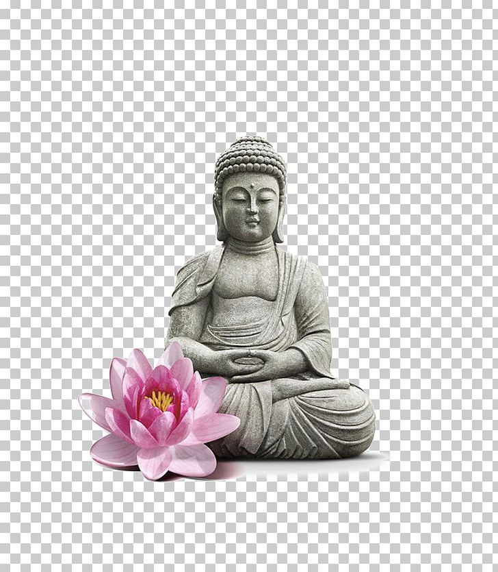Mindfulness Buddhism Buddhahood Pu0101ramitu0101 PNG, Clipart, Awareness, Cartoon Buddha, Cosmetics, Cosmetics Elements, Elements Free PNG Download