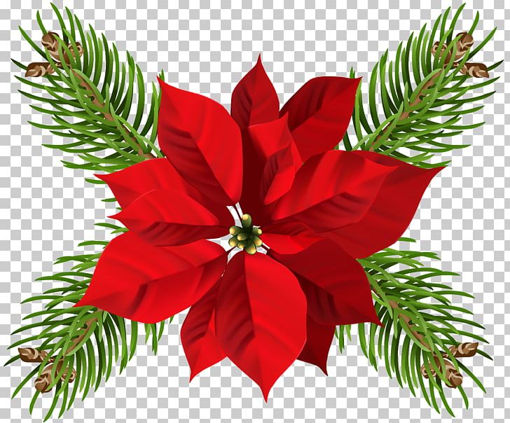 Poinsettia Flower Christmas PNG, Clipart, Candle, Christmas, Christmas Decoration, Christmas Lights, Christmas Ornament Free PNG Download