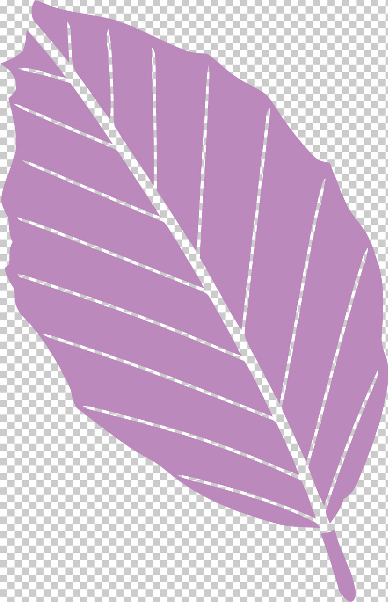 Autumn Leaf Yellow Leaf Leaf PNG, Clipart, Autumn Leaf, Feather, Leaf, Line, Plant Free PNG Download