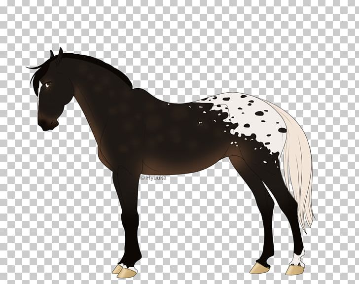 Mane Mustang Stallion Pony Mare PNG, Clipart, Bridle, Colt, Equestrian, Equestrian Sport, Foal Free PNG Download