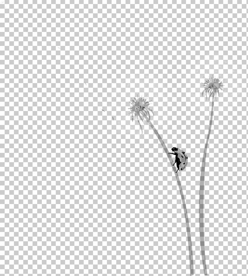 White Dandelion Dandelion Plant Flower PNG, Clipart, Blackandwhite, Dandelion, Flower, Plant, White Free PNG Download