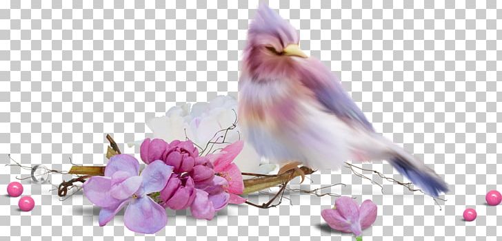 Flower Watercolor Painting Drawing PNG, Clipart, Art, Beak, Bird, Blossom, Blue Free PNG Download