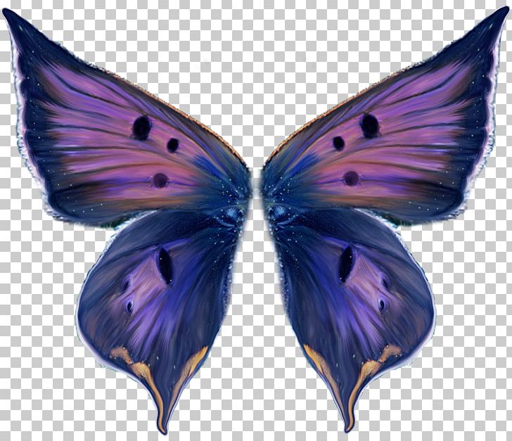 Monarch Butterfly Wing Insect PNG, Clipart, Animal, Blue, Brush Footed Butterfly, Butterflies And Moths, Butterfly Free PNG Download
