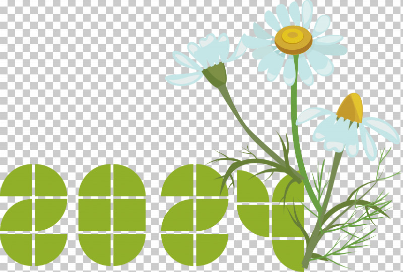 Floral Design PNG, Clipart, Cartoon, Flora, Floral Design, Flower, Oxeye Daisy Free PNG Download