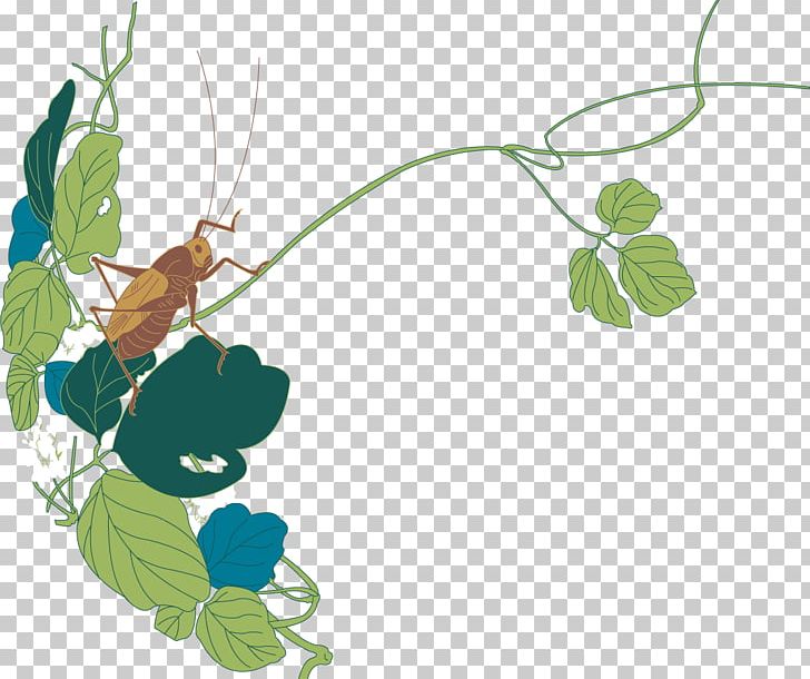Bush Crickets Insect Illustration PNG, Clipart, Branch, Branches, Flower, Grasshopper, Green Free PNG Download