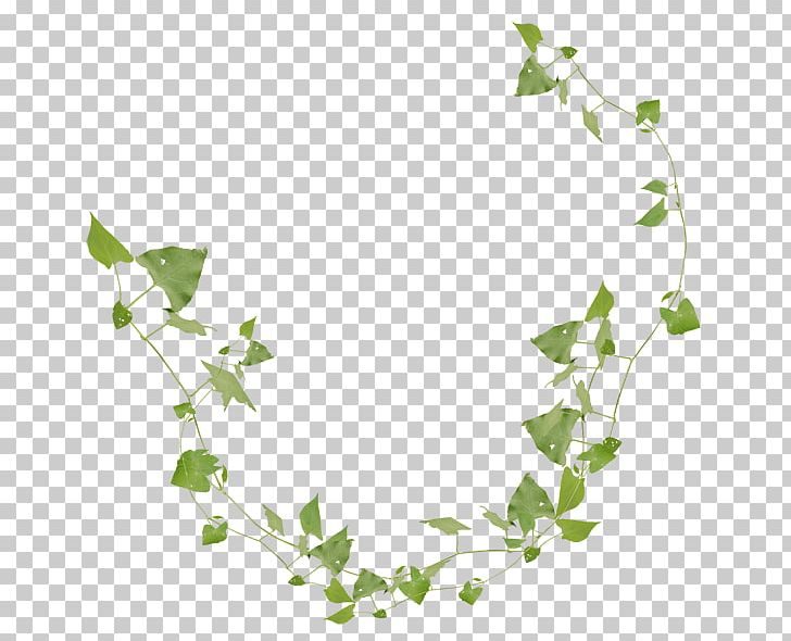 Vine Flower PNG, Clipart, Art, Branch, Download, Element, Flora Free PNG Download