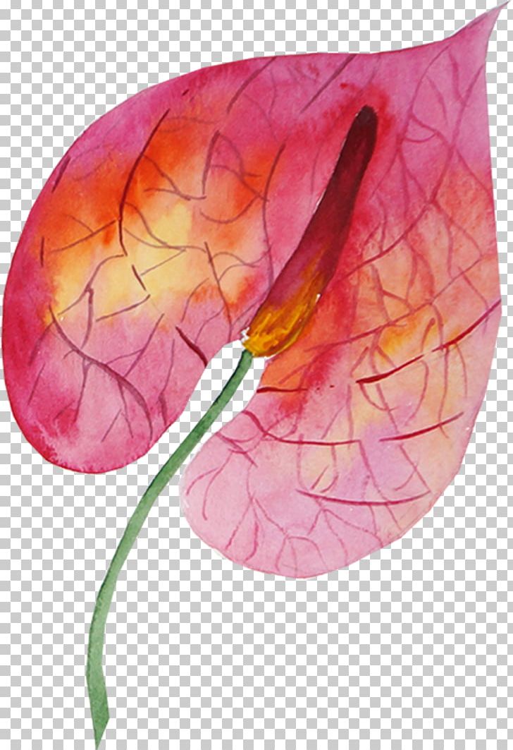 Watercolor Painting Drawing PNG, Clipart, Big Bang Theory, Drawing, Flower, Flowering Plant, Leaf Free PNG Download