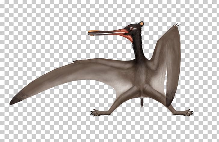 Cathayopterus Ctenochasma Feilongus Pterodaustro Nemicolopterus PNG, Clipart, Animal, Art, Beak, Bird, Dozen Free PNG Download