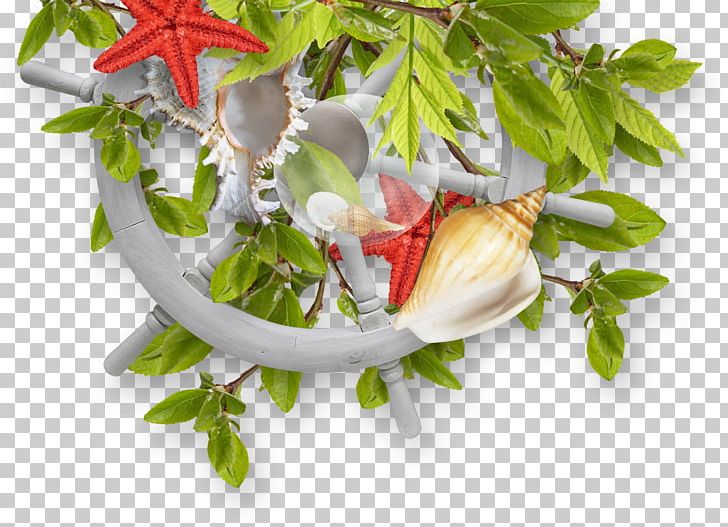 Fundal Watercraft PNG, Clipart, Animals, Beautiful Starfish, Blog, Branches, Branches And Leaves Free PNG Download