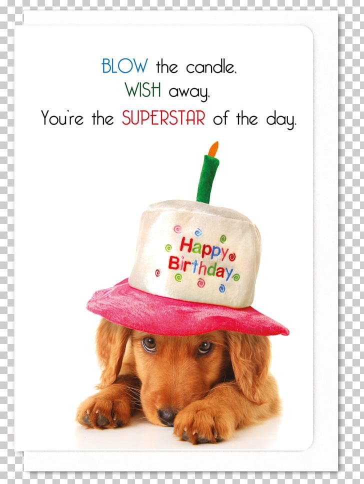 Dachshund Birthday Cake Puppy Golden Retriever Png Clipart