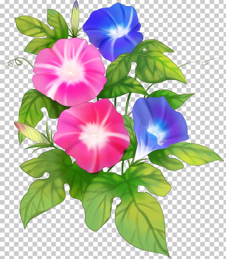 Japanese Morning Glory Flower Illustration Red PNG, Clipart, Annual Plant, Color, Floral Design, Flower, Flower Arranging Free PNG Download