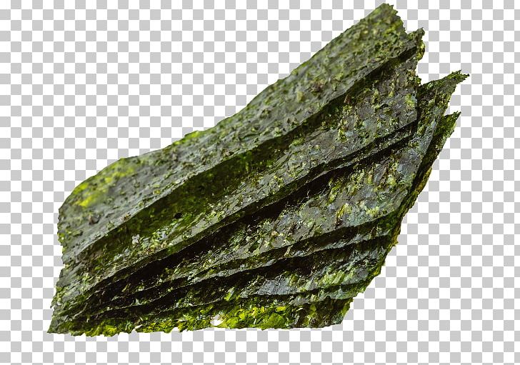 Algae Nori Seagrass Spinach Food PNG, Clipart, Alg, Algae, Bluegreen Bacteria, B Vitamins, Eating Free PNG Download