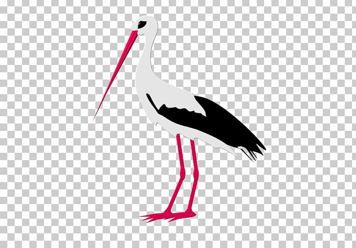 White Stork Bird Beak Graphics PNG, Clipart, Beak, Bird, Ciconiiformes, Crane, Crane Like Bird Free PNG Download