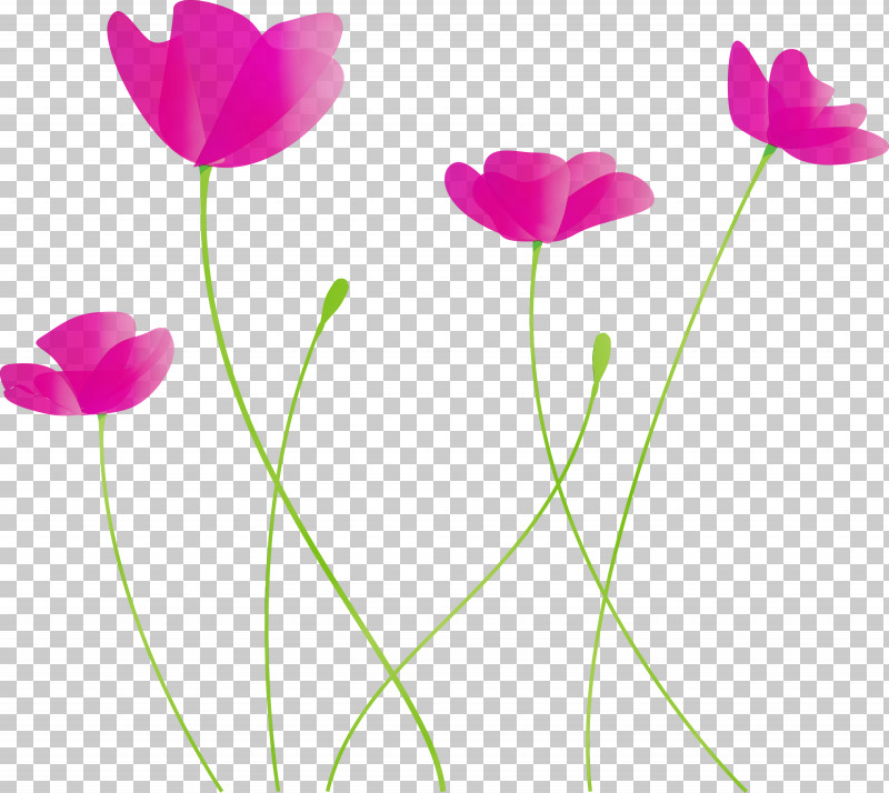 Flower Petal Pedicel Pink Tulip PNG, Clipart, Cut Flowers, Flower, Paint, Pedicel, Petal Free PNG Download