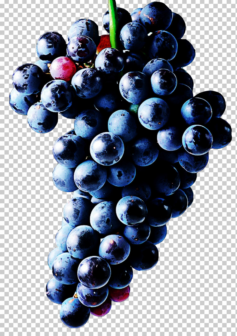 Grape Fruit Seedless Fruit Grapevine Family Berry PNG, Clipart, Berry, Bilberry, Food, Fruit, Grape Free PNG Download