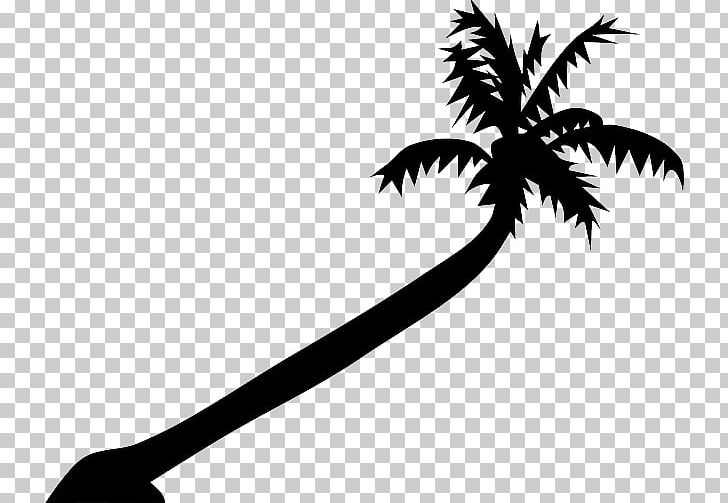 Arecaceae Tree PNG, Clipart, Arecaceae, Arecales, Black And White, Branch, Download Free PNG Download