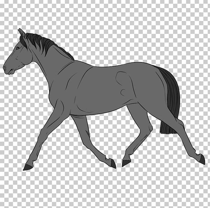 Mule Foal Mustang Stallion Rein PNG, Clipart,  Free PNG Download