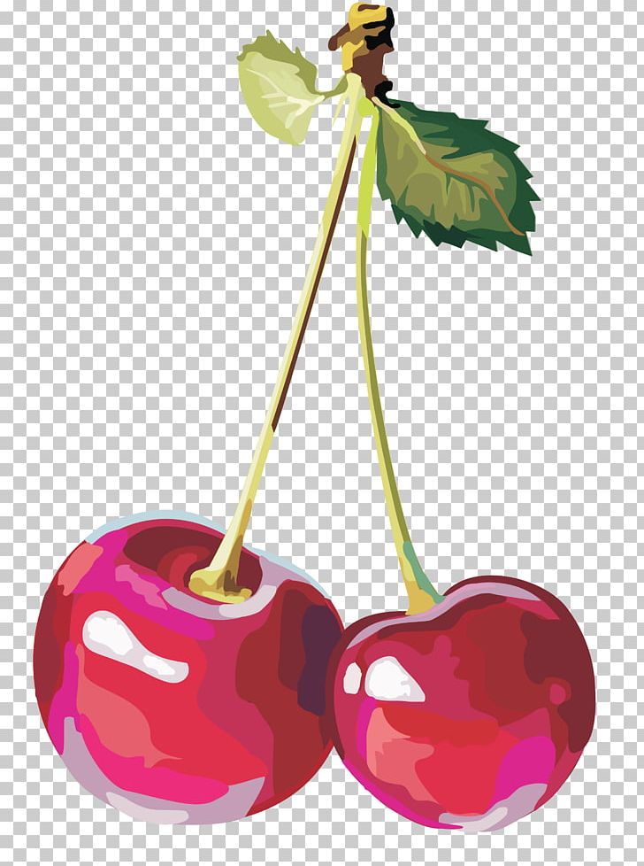 Sweet Cherry PNG, Clipart, Apple, Blueberries, Cherry, Clip Art, Download Free PNG Download