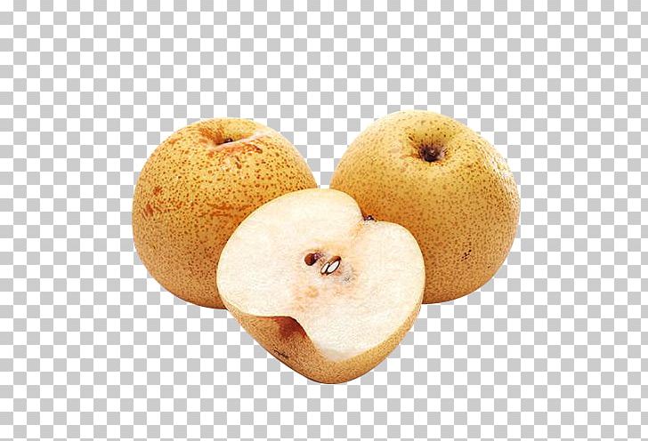 U7800u5c71u9165u68a8 Asian Pear Pyrus Nivalis Pyrus Xd7 Bretschneideri Fruit PNG, Clipart, Anhui, Asian Pear, Auglis, Bagel, Carambola Free PNG Download