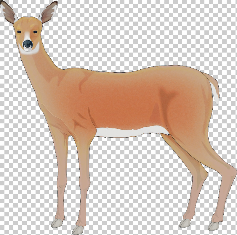 Reindeer PNG, Clipart, Animal Figure, Antelope, Deer, Fawn, Figurine Free PNG Download