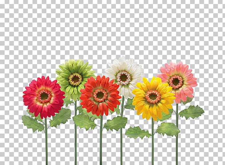 Color Green Common Sunflower Red PNG, Clipart, Annual Plant, Artificial Flower, Cut Flowers, Daisy, Daisy Family Free PNG Download