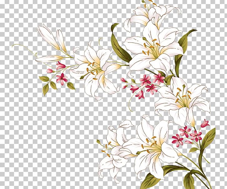 Flower Lilium PNG, Clipart, Art, Blossom, Branch, Cherry Blossom, Cut Flowers Free PNG Download
