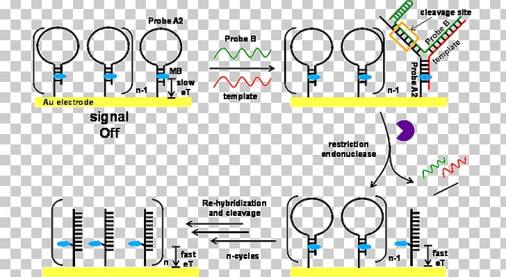 Nucleic Acid Furniture Emitter-coupled Logic PNG, Clipart, Acid, Amersham, Angle, Diagram, Drawing Room Free PNG Download