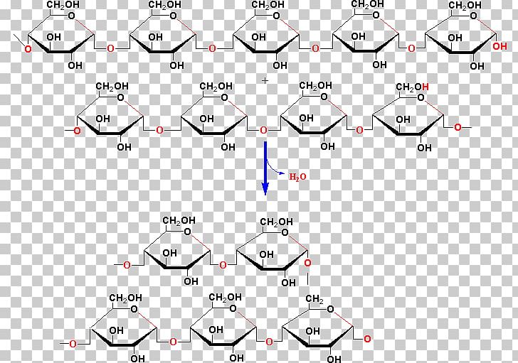 Technology Point Pattern PNG, Clipart, Angle, Animated Cartoon, Area, Diagram, Edu Free PNG Download