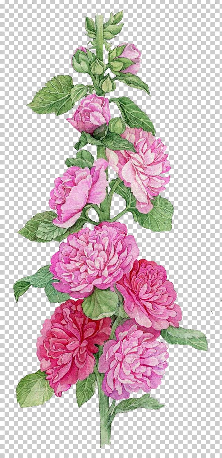 Flower Watercolor Painting Botanical Illustration Mallow Art PNG, Clipart, Annual Plant, Artificial Flower, Botany, Color, Cut Flowers Free PNG Download