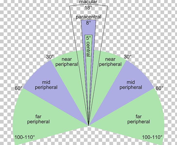 Peripheral Vision Visual Perception Fovea Centralis Eye Retina PNG ...