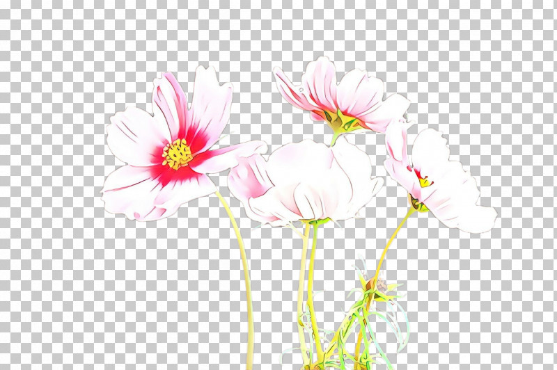 Flower Pink Plant Petal Gerbera PNG, Clipart, Flower, Gerbera, Pedicel, Petal, Pink Free PNG Download