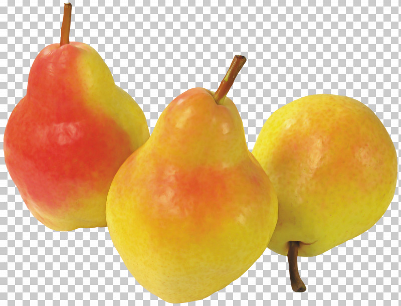 Fruit Tree PNG, Clipart, Apple, Apples, Cooking, European Pear, Fruit Free PNG Download