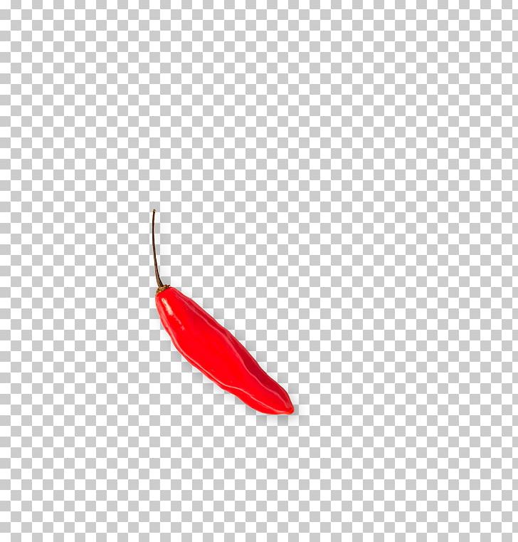 Chili Pepper PNG, Clipart, Bell Peppers And Chili Peppers, Chili Pepper, Fallings Angels, Red, Vegetable Free PNG Download