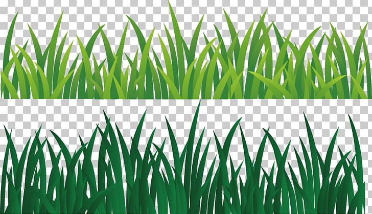Green Ribbon PNG, Clipart, Background Green, Commodity, Download, Grass, Grasses Free PNG Download