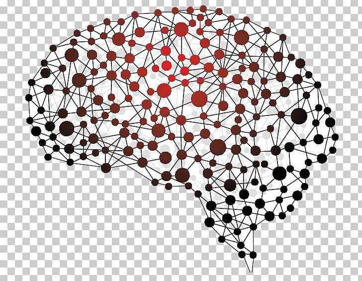 Human Brain Neuropsychology Nervous System BRAIN Initiative PNG, Clipart, Amygdala, Axone Invest, Brain, Brain Initiative, Brain Injury Free PNG Download
