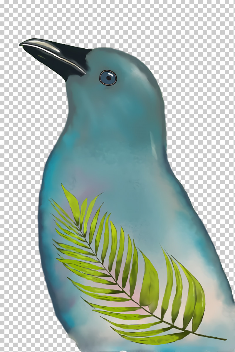 Beak Turquoise PNG, Clipart, Beak, Turquoise Free PNG Download