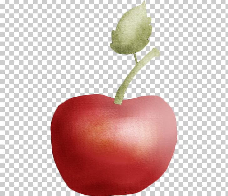 Apple Auglis PNG, Clipart, Apple, Apple Fruit, Apple Logo, Auglis, Download Free PNG Download