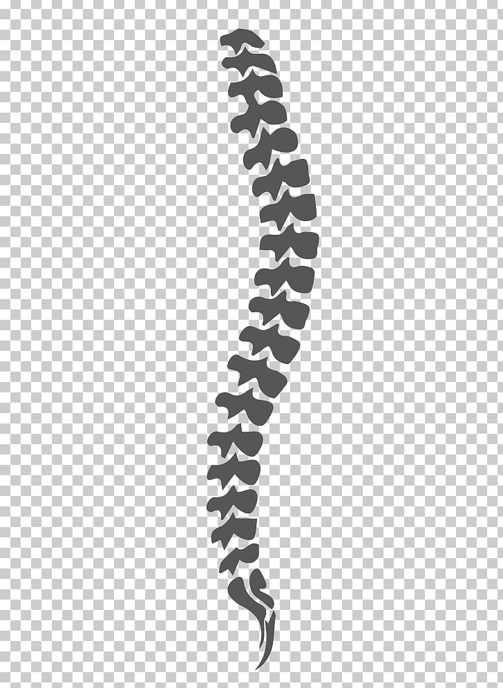 Orthopedic Surgery Graphics Joint Logo PNG, Clipart, Angle, Black And White, Bone, Hand, Joint Free PNG Download