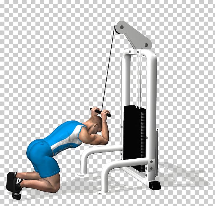 Crunch Exercise Abdomen Rectus Abdominis Muscle Bodybuilding PNG, Clipart, Abdominal Exercise, Abdominal External Oblique Muscle, Arm, Bench Press, Cable Machine Free PNG Download